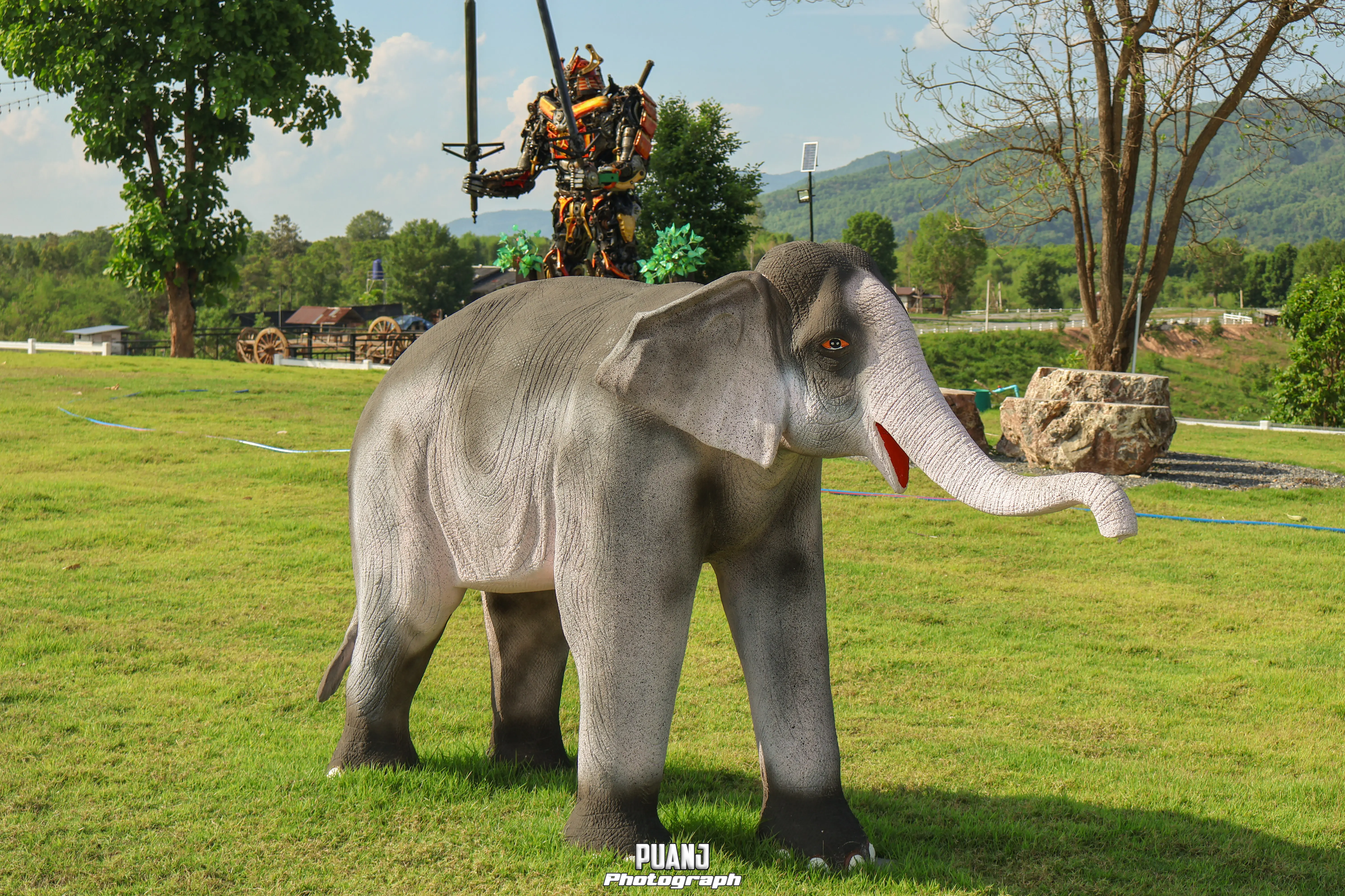 ฟาร์มแกะแดนพนา 6